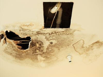 Professional water damage services in Palo Alto